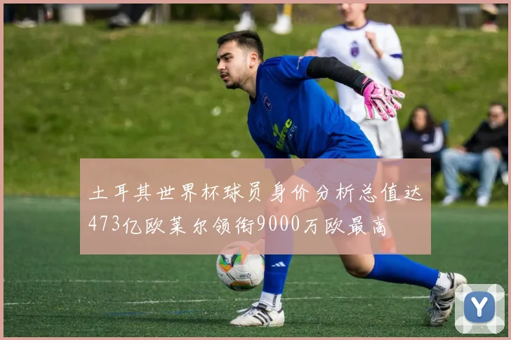 土耳其世界杯球员身价分析总值达473亿欧莱尔领衔9000万欧最高
